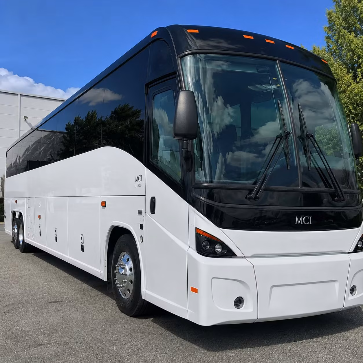 charterbusstpetersburg com makes it easy to book cruise transfer shuttles through st petersburg