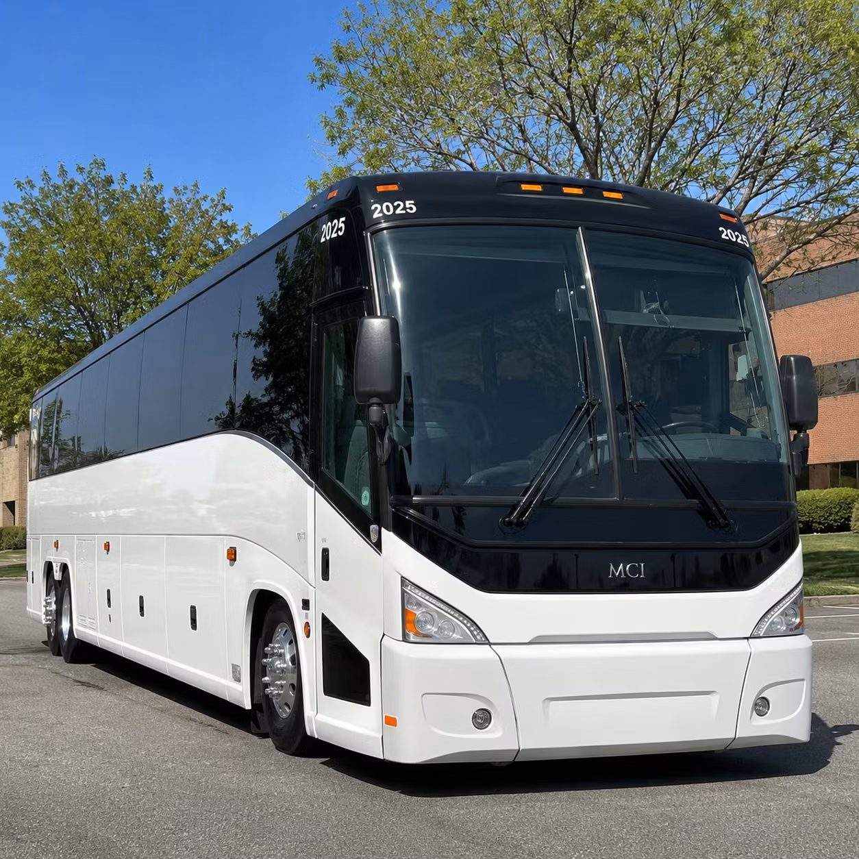 getting to tropicana field and st pete s biggest concert venues just got easier