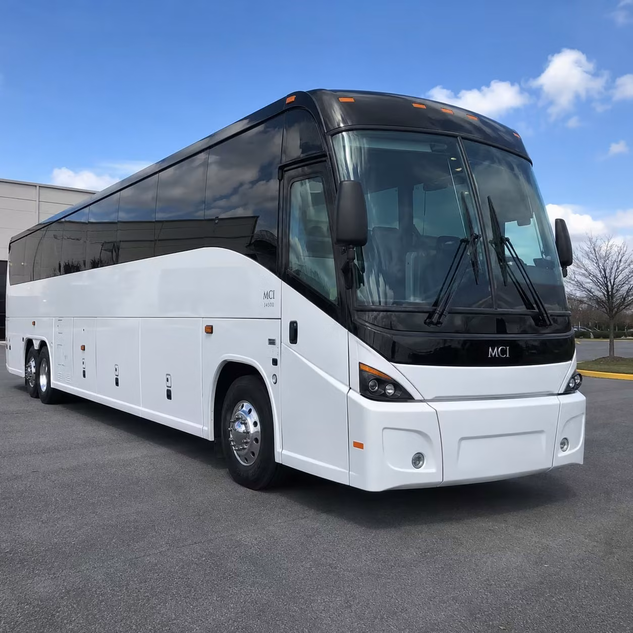 st petersburg group airport transfers to tpa and pie made simple