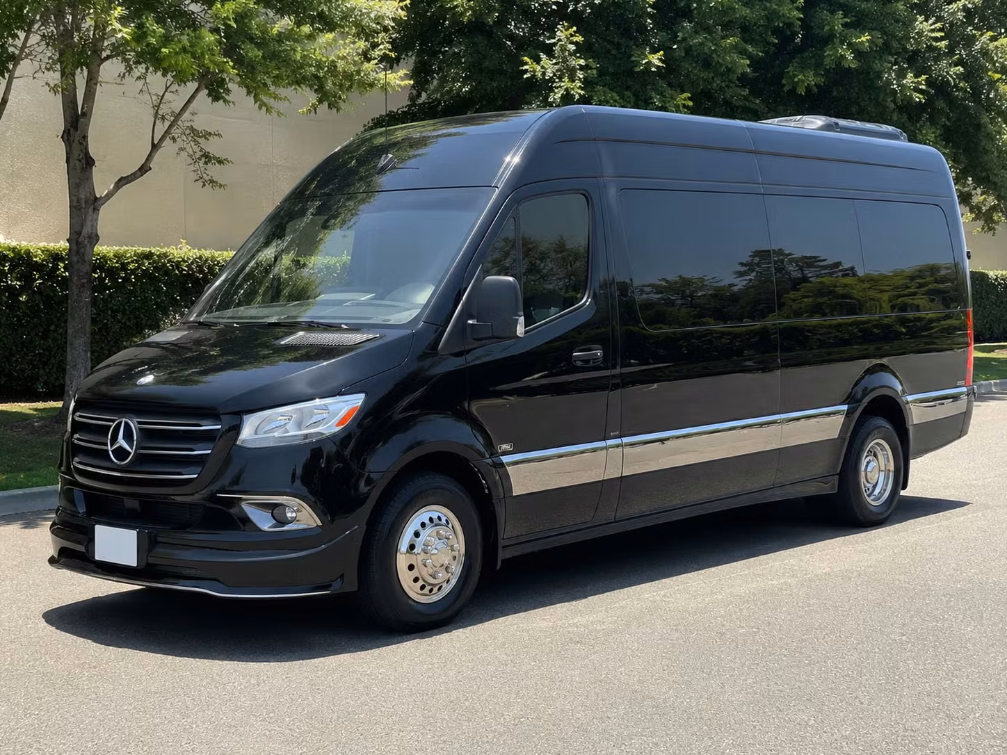 st petersburg sprinter van rental with driver