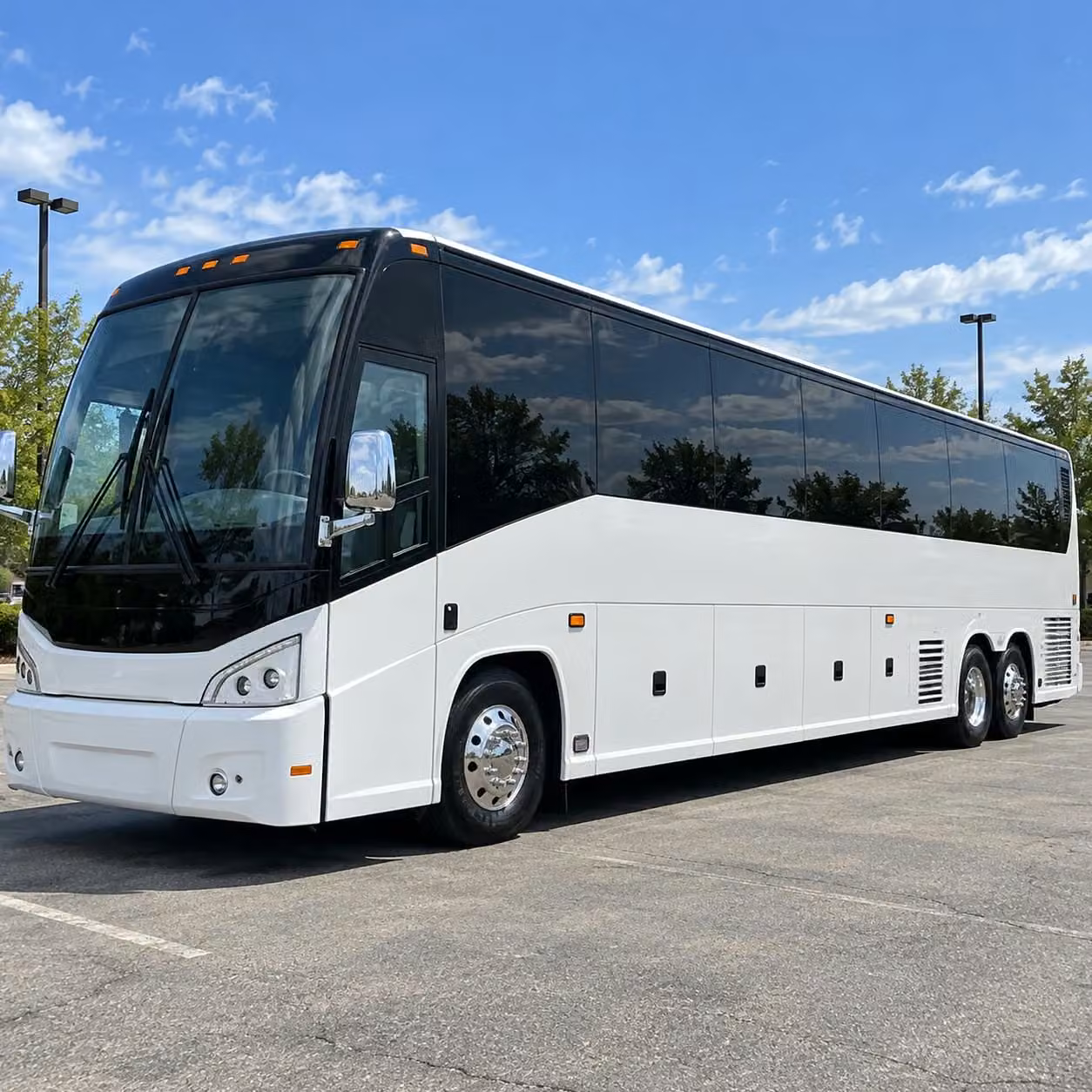 tampa bay rays sporting event transportation in st petersburg