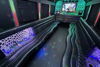 St Petersburg Limo Bus Interior